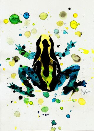 Design Spring: Dyeing dart frog