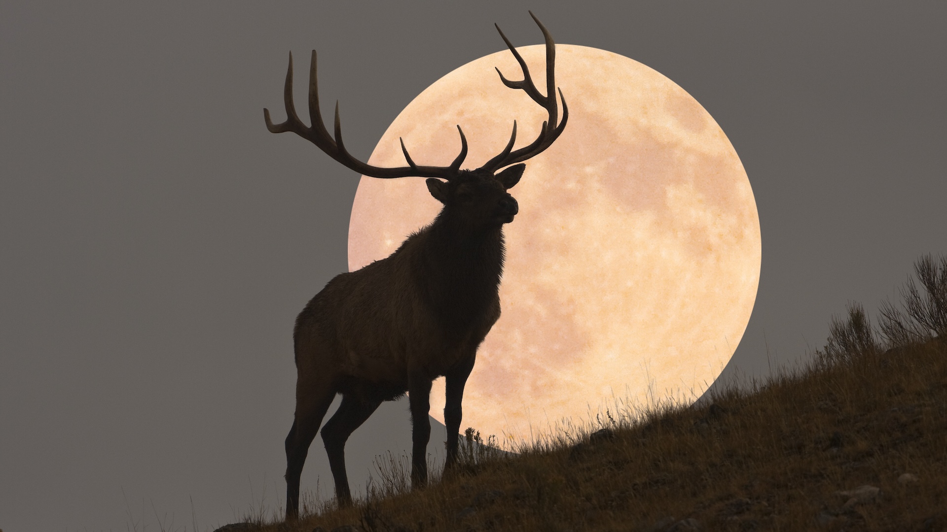  July's full 'Buck Moon' rises this week — and signals a big lunar transition is on the way 