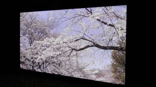 Hands on: Panasonic 145 inch 8K Super Hi Vision television