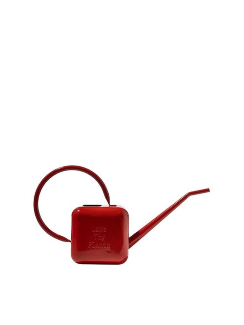 House Plant Stainless-Steel Watering Can 1.25l 