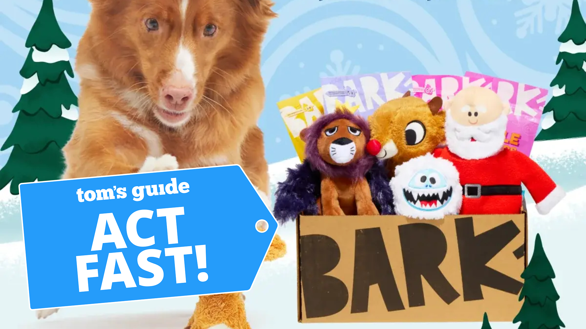 BarkBox Rudolph