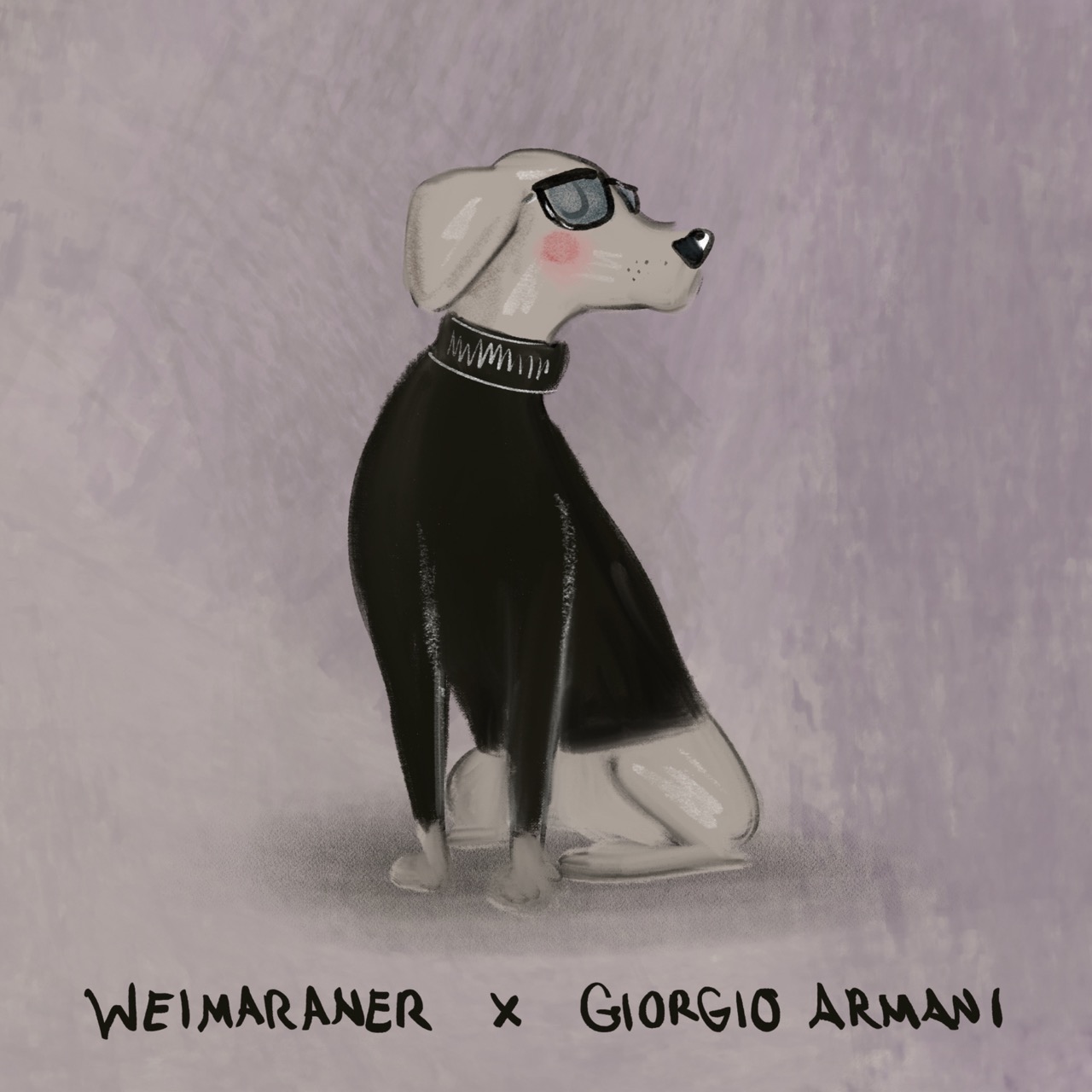 A series of twelve illustrated animals styled as luxury fashion designers: an Afghan hound in a slouchy blush Chlo&amp;eacute; coat; an Airedale Terrier in a navy Ralph Lauren sweater on a tartan blanket; a beagle carrying a classic Louis Vuitton handbag while wearing a monogrammed scarf; an English bulldog in a chunky cream Connolly jumper with green gloves beside it; a Birman cat in a pink Chanel jacket layered with pearls; a corgi standing proudly on an orange Herm&amp;egrave;s box with a silk scarf and pink Birkin-style bag; a long-haired dachshund in a soft cream Brunello Cucinelli cardigan; a Dalmatian posing in a dramatic Dior hat with a veil and a black umbrella; a fox red Labrador wearing a Burberry check headscarf; a poodle strutting in oversized Celine sunglasses and a gold medallion necklace; a Springer spaniel wrapped in an oversized green Barbour jacket beside wellington boots; and a Weimaraner in a sleek black Giorgio Armani turtleneck and dark sunglasses.