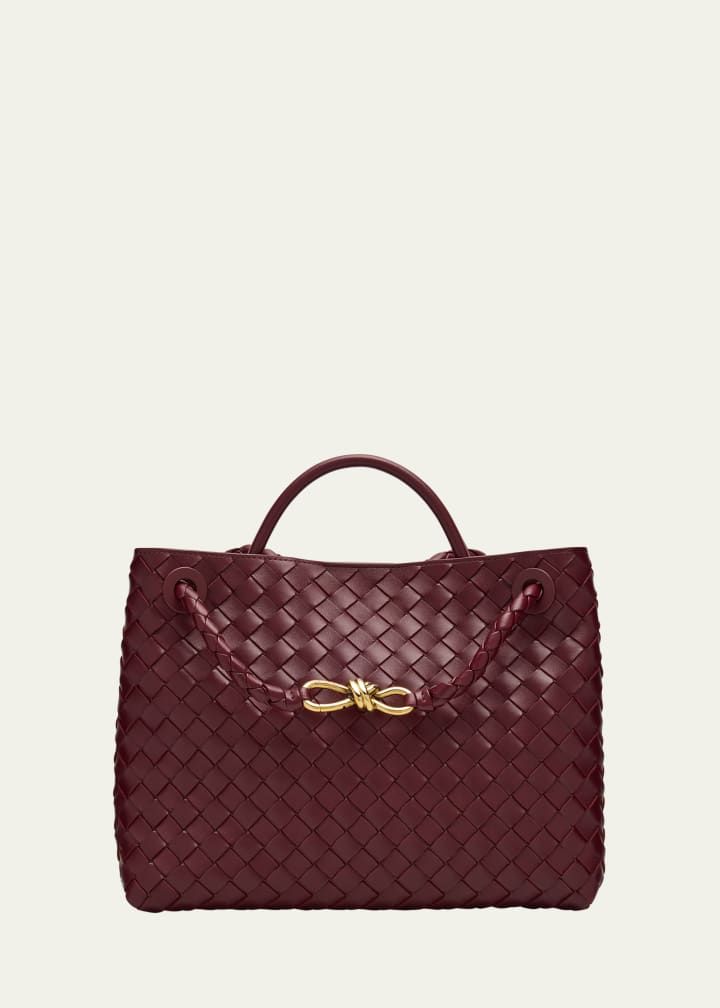 Medium Andiamo Bag