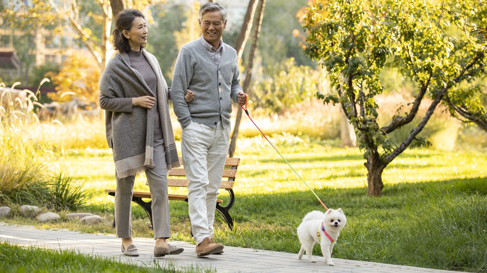 A retired Asian couple walks with a small, white dog.