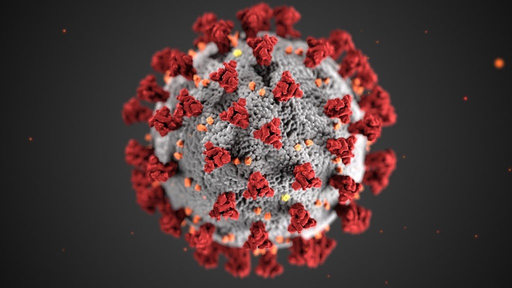 Visualisation of Covid-19