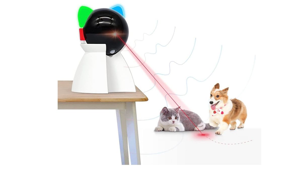 Best laser toys for cats Satisfy their natural instincts PetsRadar