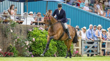 Katie Jerram Hunnable and First Receiver gallop along the front of the ring at the Hickstead Derby Meeting.
