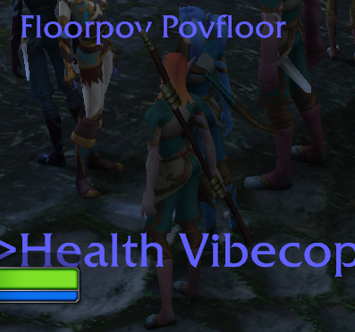 Players running around in WoW: Forever with some suspect, silly names.