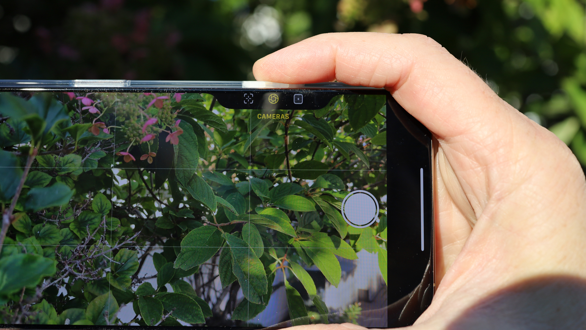 IPhone 16 Pro Cameras Every Camera On The Pro And Pro Max TechRadar