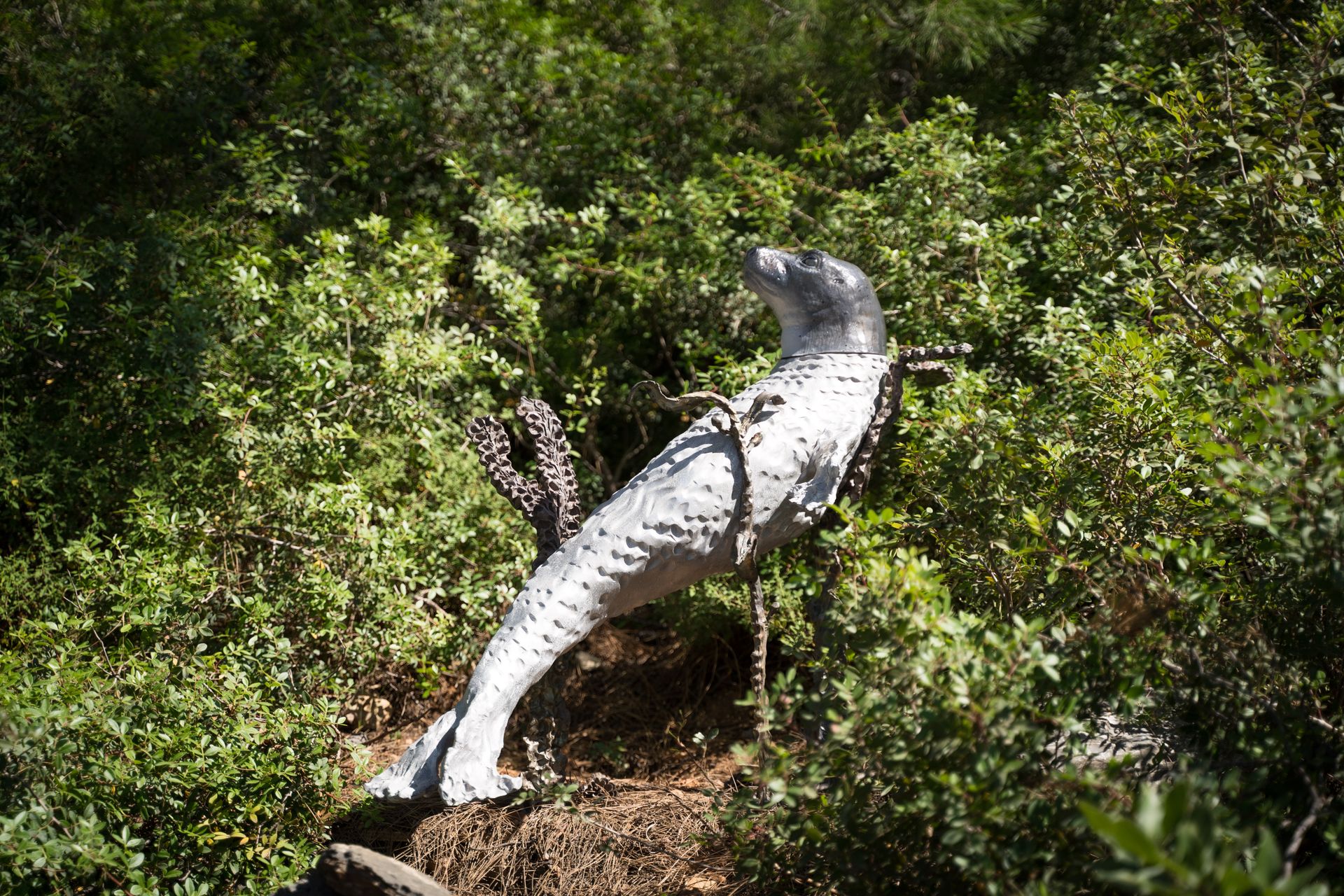 Jean-Marie Appriou seal sculpture amid nature at Bodrum Loft / Perrotin exhibition