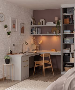 home office with storage solutions and houseplants