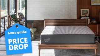 The Cocoon by Sealy Chill Memory Foam Mattress shown on a wooden bed frame sat against a white brick bedroom wall