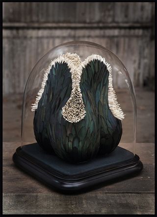 Feather sculptures