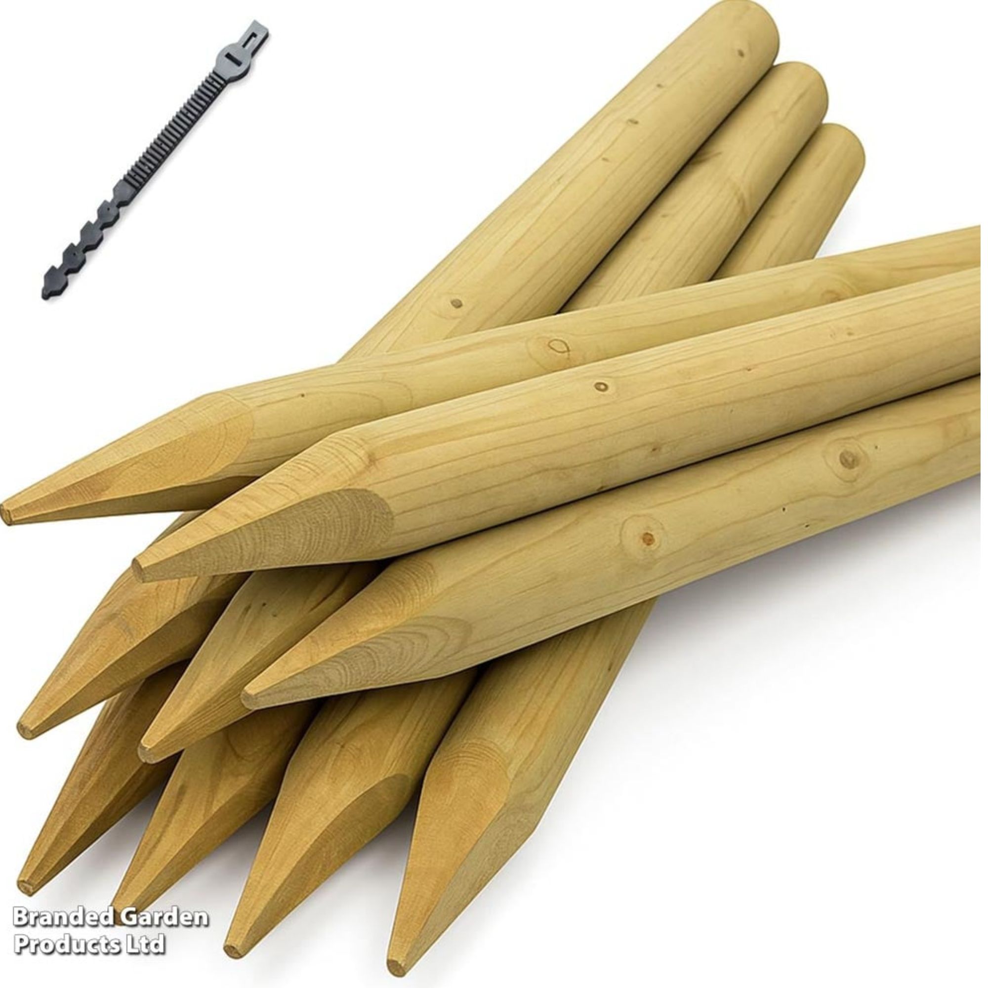 Tree planting kit Thompson &amp;amp; Morgan