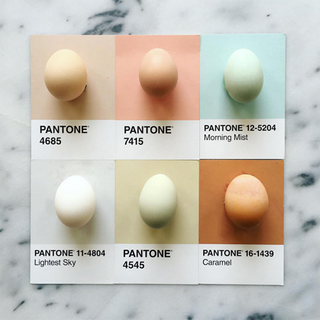 These eggs are naturally-coloured from different breeds of hen