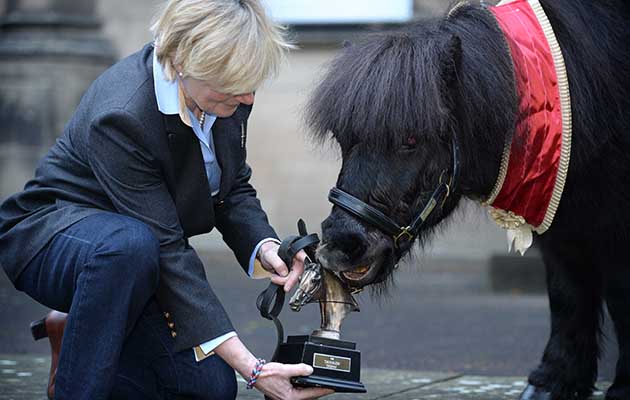 Helene Mauchlen of the British Horse Society presents Cruachan III with the Trophy. Shetland pony and former Royal Regiment of Scotland Mascot &amp;lsquo;Cruachan III&amp;rsquo; was awarded the &amp;lsquo;Tarragon Trophy&amp;rsquo; from The British Horse Society today at a special event held in Redford Barracks in Edinburgh. The &amp;lsquo;Tarragon Trophy&amp;rsquo; is the British Horse Society &amp;lsquo;Equine Personality&amp;rsquo; of the year award and is presented to horses or ponies that have contributed to the community, overcome hardship or deemed to have the personality worthy of the esteemed honour. Helene Mauchlen from the British Horse Society, said: &amp;ldquo;Every so often the BHS is privileged to meet an equine that has delivered untold benefit to humankind, and Cruachan is just that pony. &amp;ldquo;In his long life he has brightened the lives of so many people, from casual acquaintances at events, veterans and sick children and on top of that he does his day job of representing, inspiring and motivating our army. &amp;ldquo;He is a credit to all equines and an example of the untold good that horses and ponies provide. It is our pleasure and a privilege to present him with the Tarragon Trophy.&amp;rdquo; Shetland pony, Cruachan III, retired in 2012 at the age of 23 after nearly two decades of military service. For almost 17 years he took part in numerous military parades, Highland games and became a much loved addition to the cast of the Royal Edinburgh Military Tattoo. The endearing pony was also a personal favourite of Her Majesty The Queen and attended Balmoral Castle each year when she visited Scotland. Colonel Alastair Campbell, Regimental Secretary of The Royal Regiment of Scotland, said: &amp;ldquo;Cruachan III marched proudly with Scottish infantry soldiers on parade for 17 years, firstly with the Argyll and Sutherland Highlanders and then The Royal Regiment of Scotland. So we are extremely pleased that the British Horse Society has recognised his service drawing attention to the contribution of Scottish soldiers