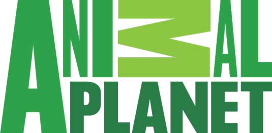 OLD LOGO: In place since 2008, this green logo will now be retired