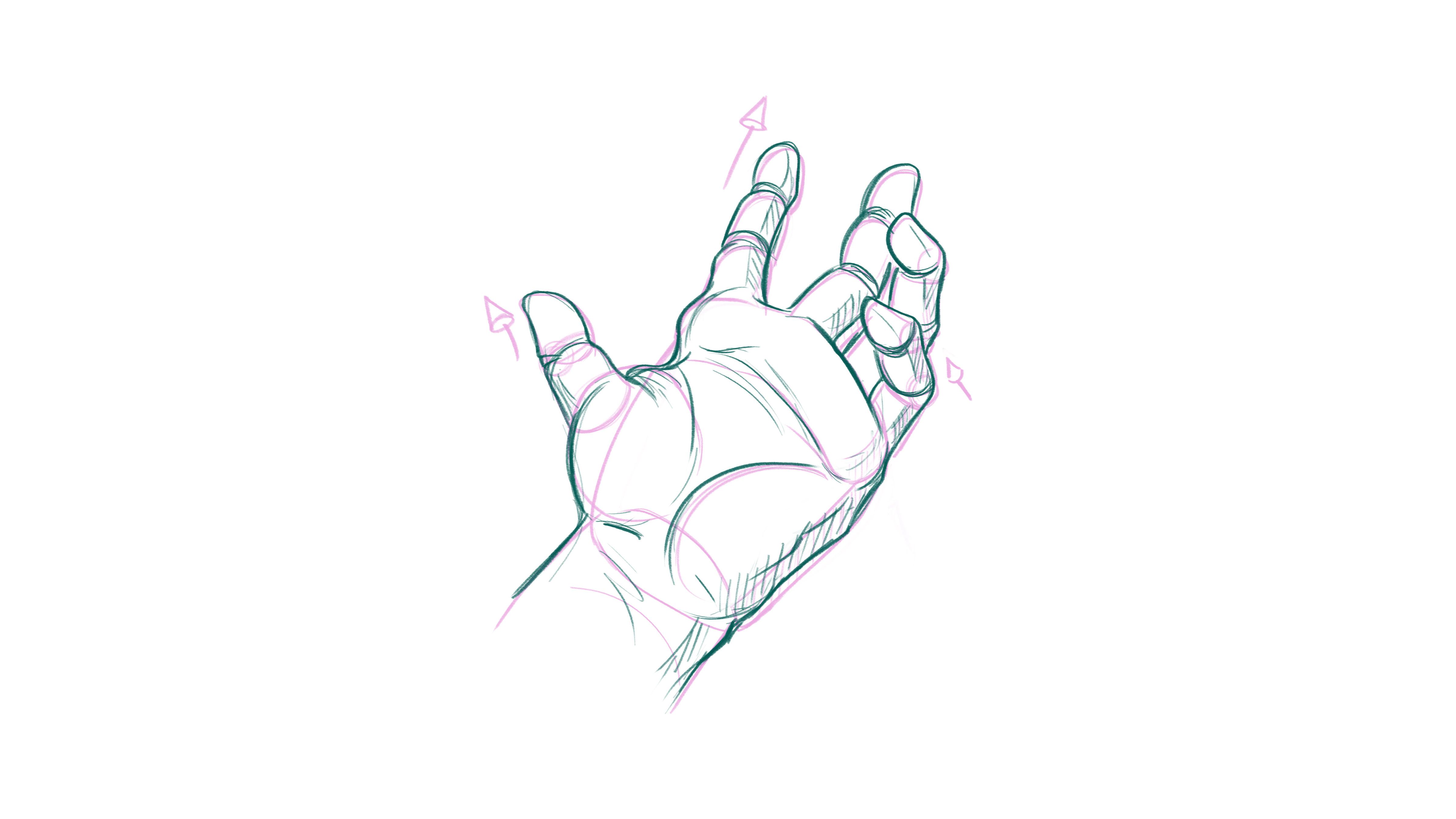 How to draw hands: sketch showing gesture and forms