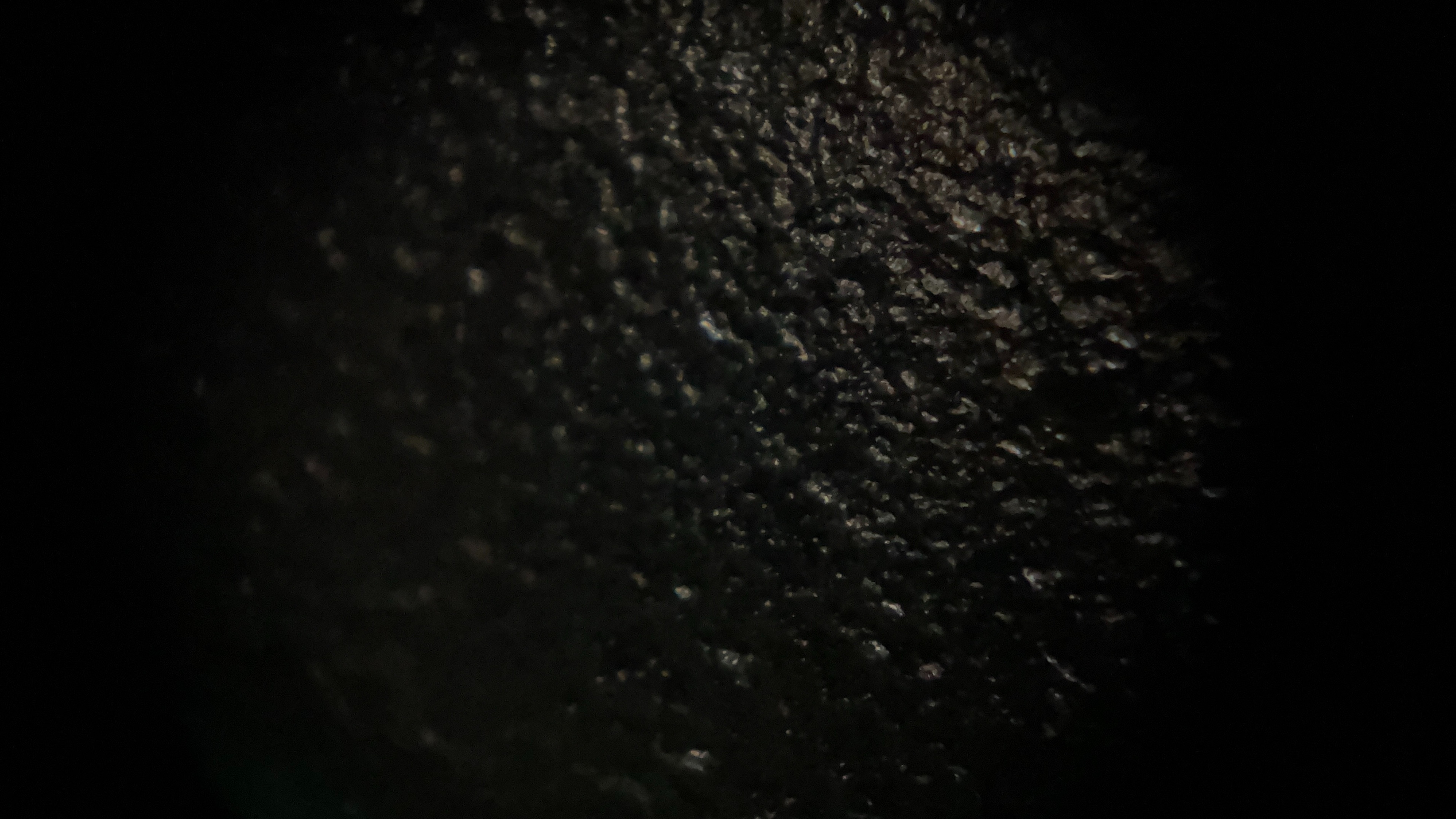 iMicro Q3p fingertip smartphone microscope