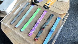 Fitbit Ace LTE bands