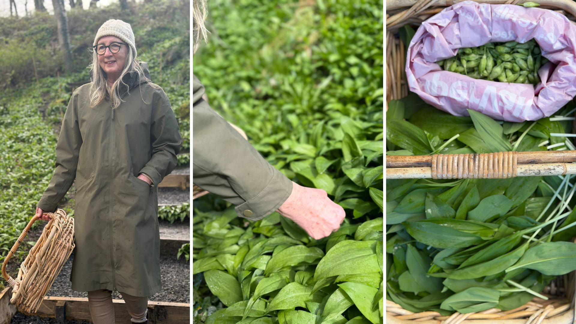 Hilary McMichael foraging wild garlic
