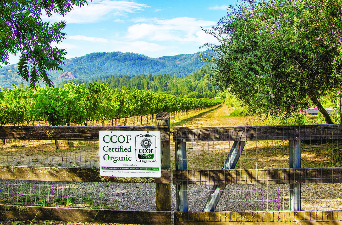 Spottswoode Winery