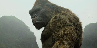 King Kong Looking Tough In Kong Skull Island