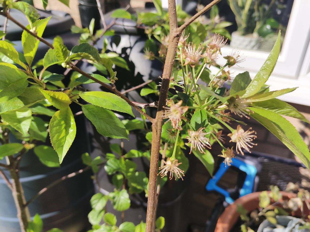 Example pictures taken with Oukitel WP200 Pro