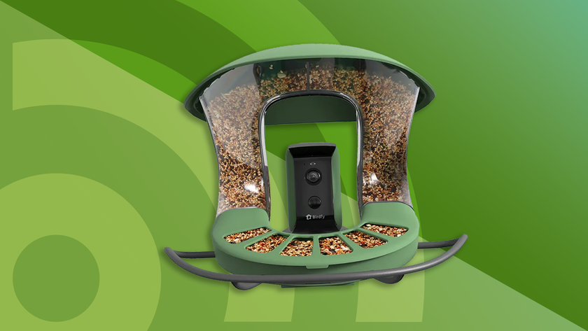 Lead image for TechRadar&#039;s round-up of the best bird feeder cameras, featuring the Birdfy Feeder 2 Duo