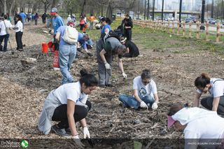 Earth day tree planting