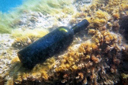 A bottle of wine underwater