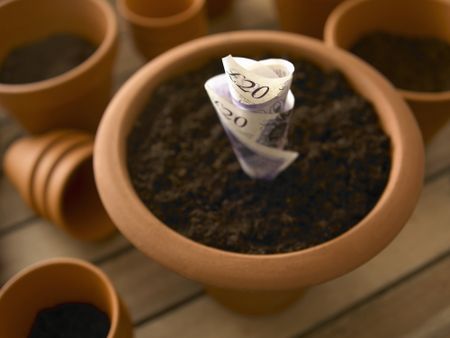 Roll of twenty pound notes growing in flowerpot