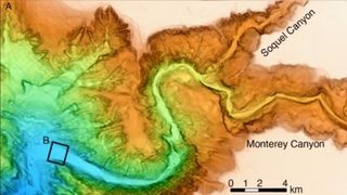 A multicolor map of a depp-sea canyon