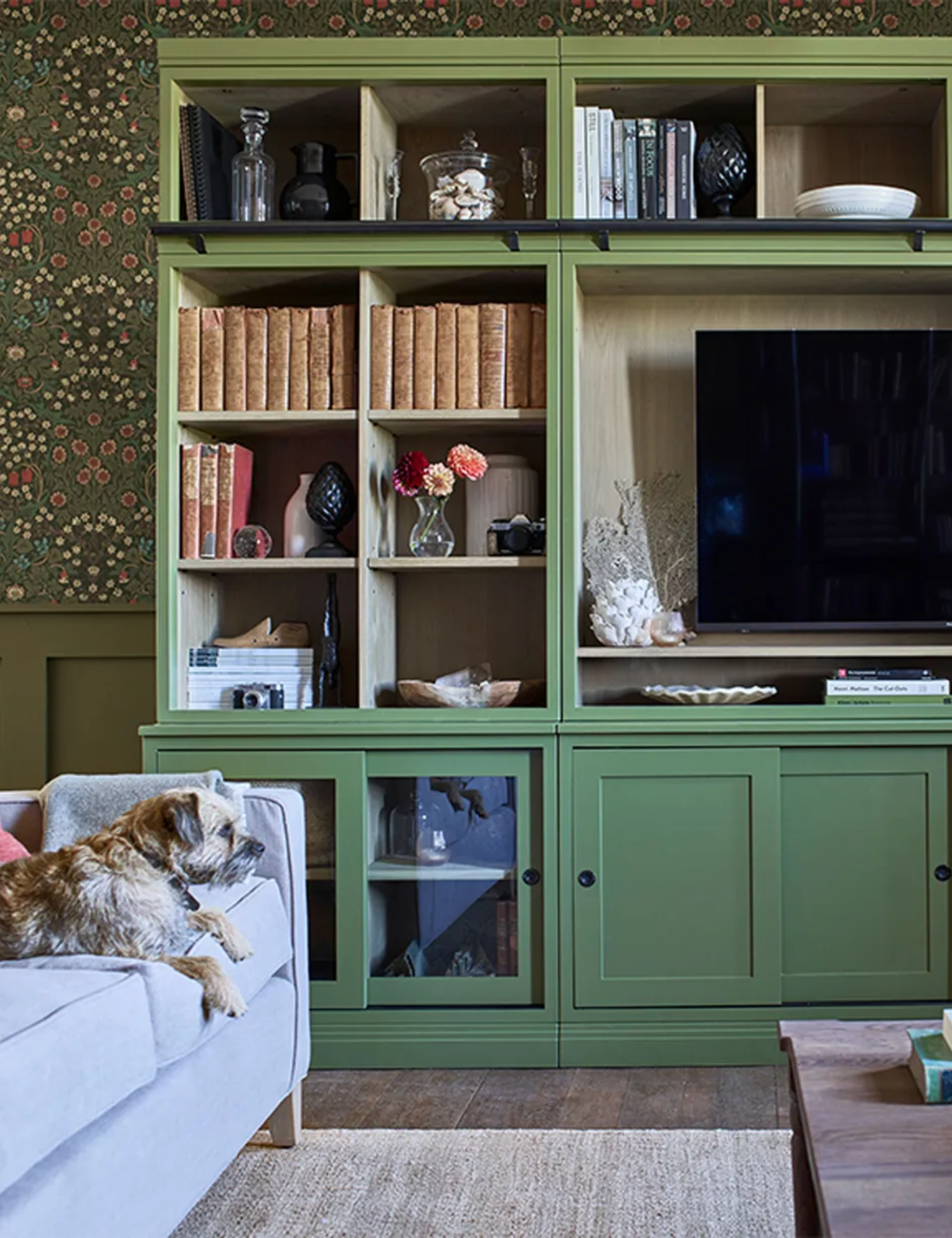 Bookshelf ideas for living rooms with green media storage