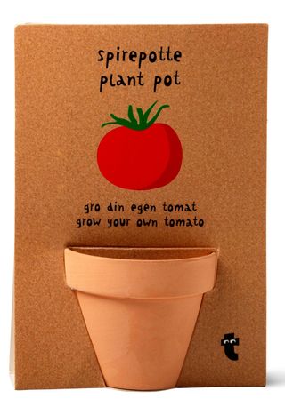 tomato with flower pot