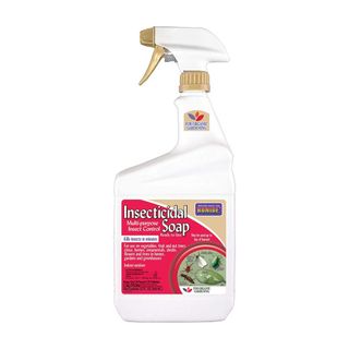 bottle of Bonide insecticidal soap on white background