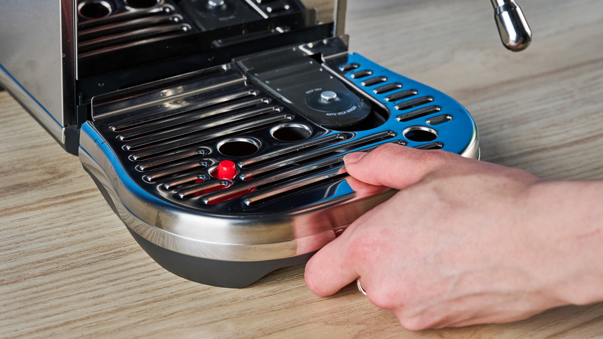 the breville bambino plus / sage bambino plus in stainless steel silver photographed against a blue background shown with its accessories including milk jug, tamper, portafilter, and shown in use extracting espresso