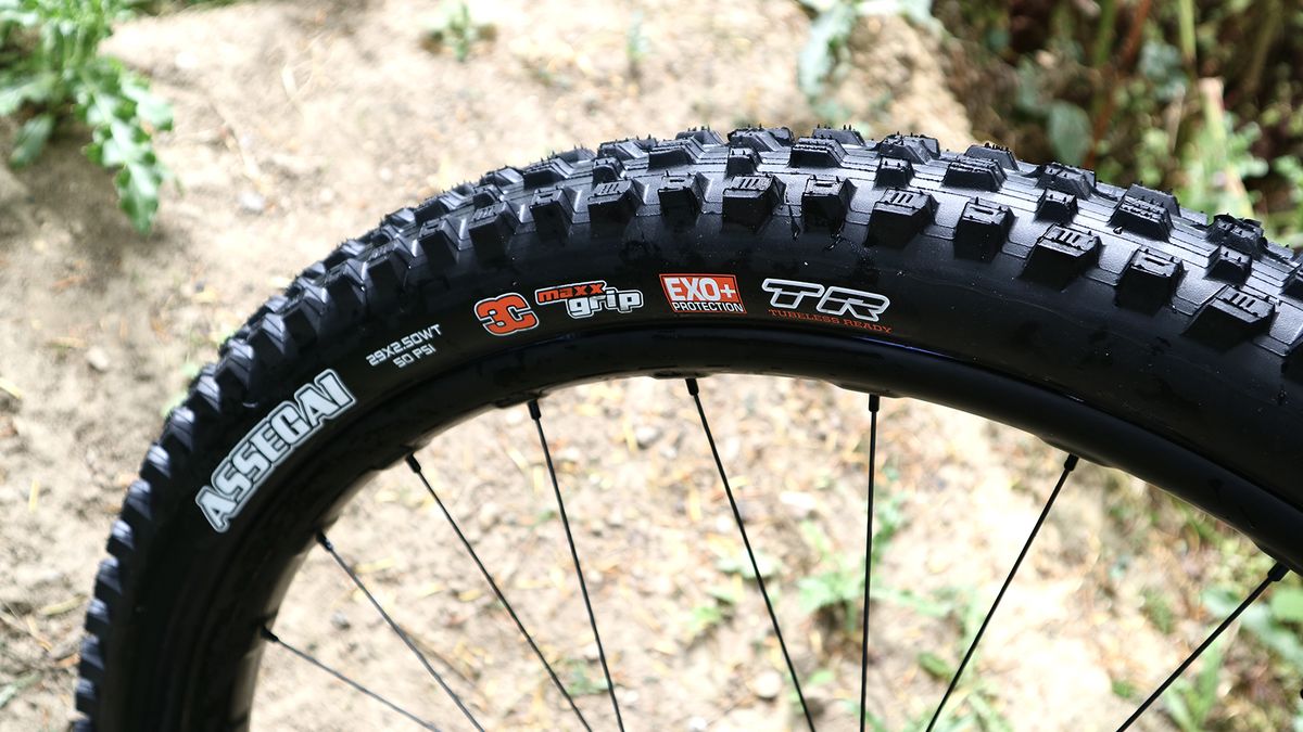 Maxxis assegai exo+ 29 sale