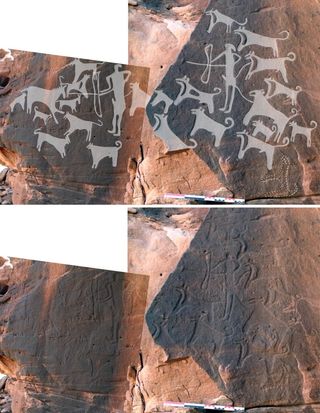 This composite image of a panel of rock art discovered in Saudi Arabia shows a hunter with 13 dogs (right side) and a few possible leashes extending from the hunter's waist, and a scene with a hunter, a large equid and eight dogs (left side). The top image shows the engravings traced in white.