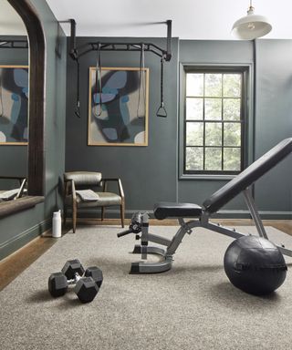 Home gym with wood floor and neutral area rug, gray walls, large mirror, weights, ball, bench, upholstered chair, and pull-up equipment