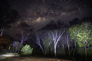 GuruShots - Beautiful Nights