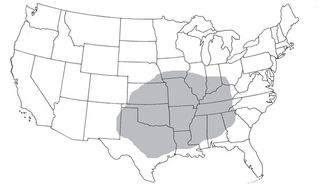 The shaded region represents the current distribution of the brown recluse.