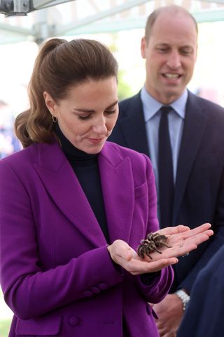 Prince William, Duke of Cambridge observes as Catherine, Duchess of Cambridge handles a tarantula