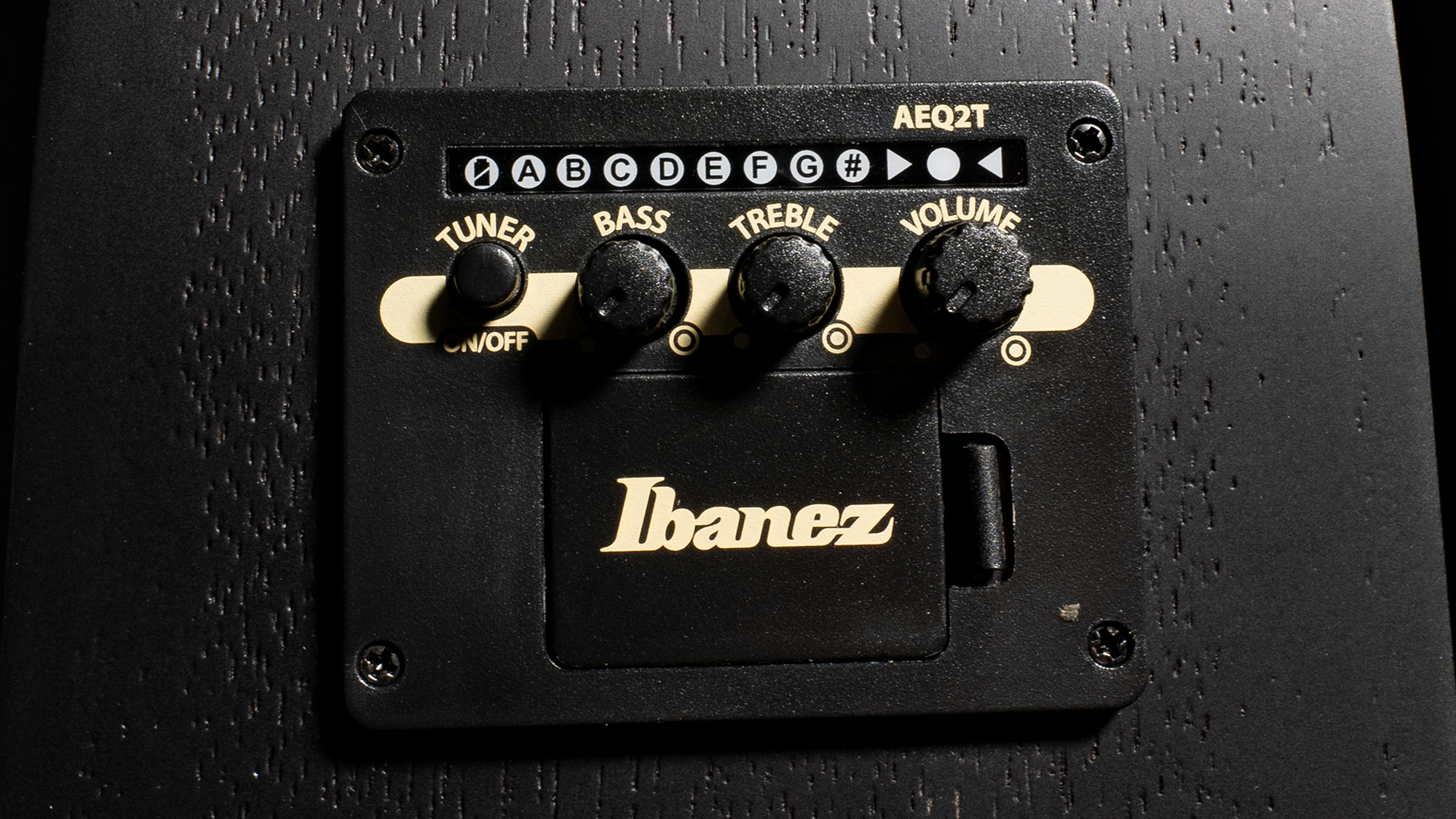Ibanez V Series