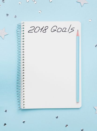 2018 Goals 