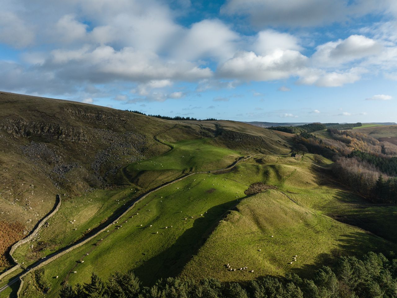 Image taken by James Abbott using the DJI Mavic 3 Classic. Here we see an overhead shot of a grassy hillside.