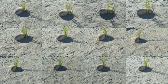 To create a 360-degree photo around the subject, take 24 photos at 15 degrees apart
