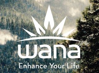 Cannabis branding: Wana Edibles