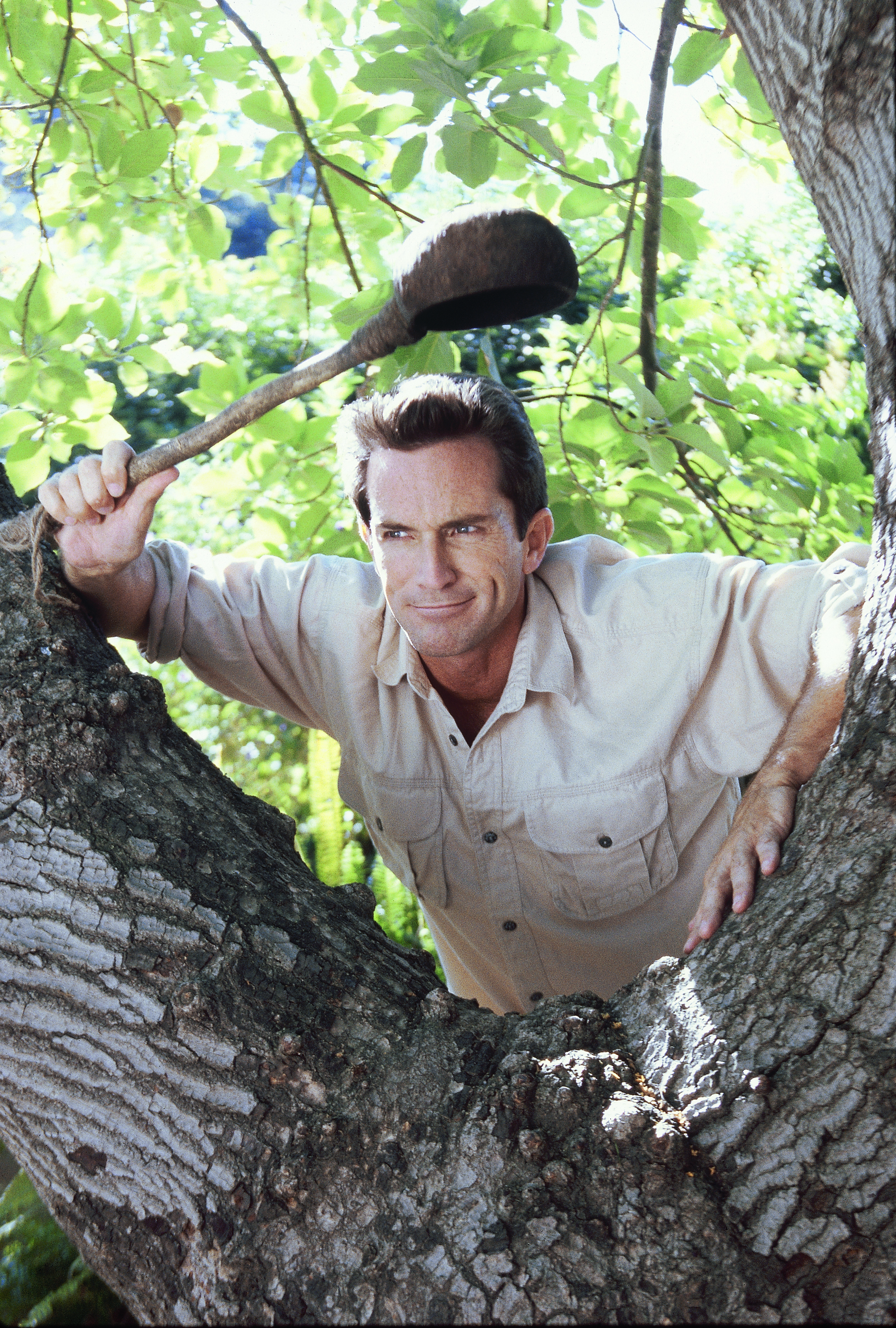 a man climbs up a tree in a promo shot for survivor