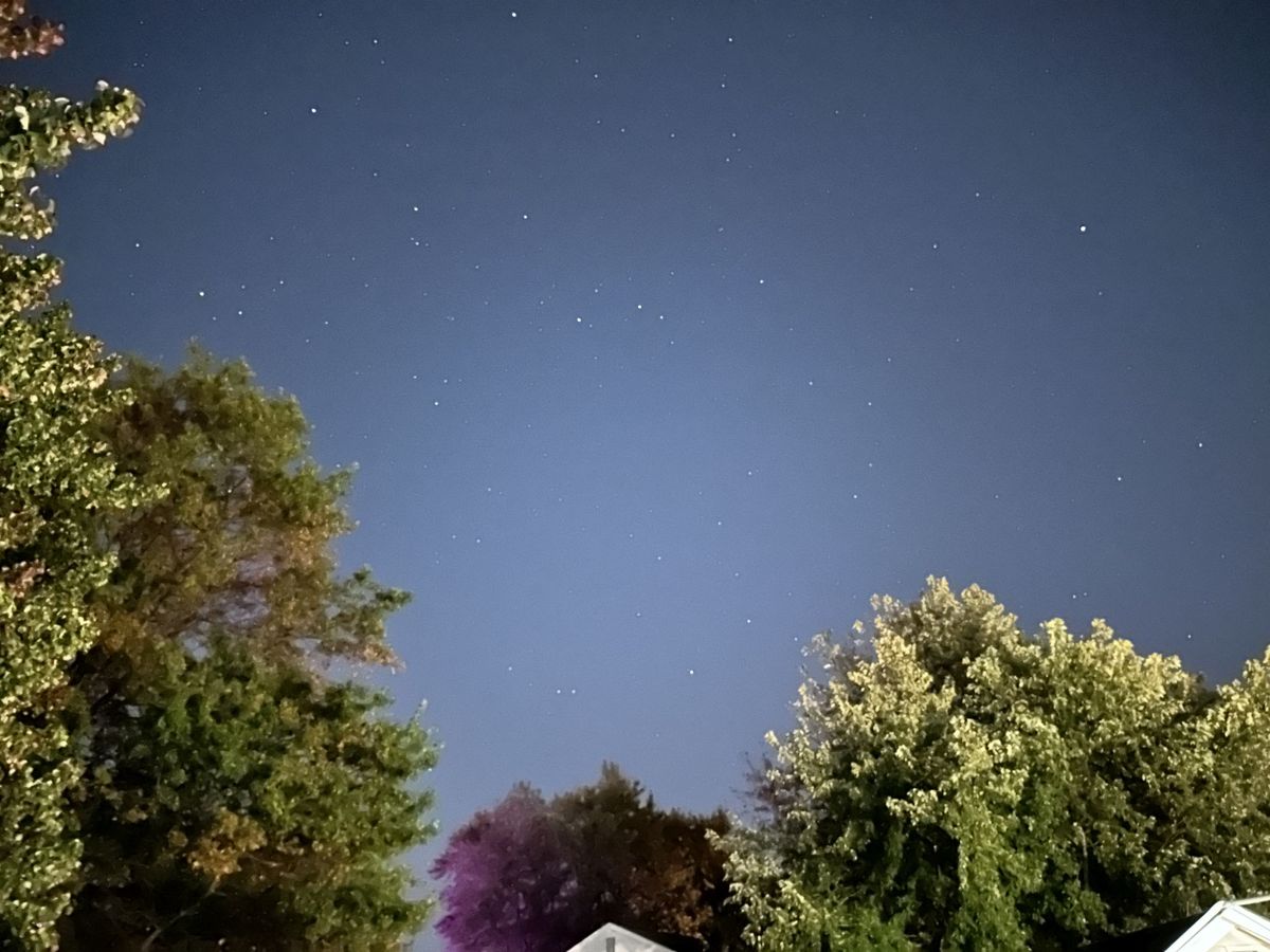 Apple iPhone 14 Pro Max camera sample.